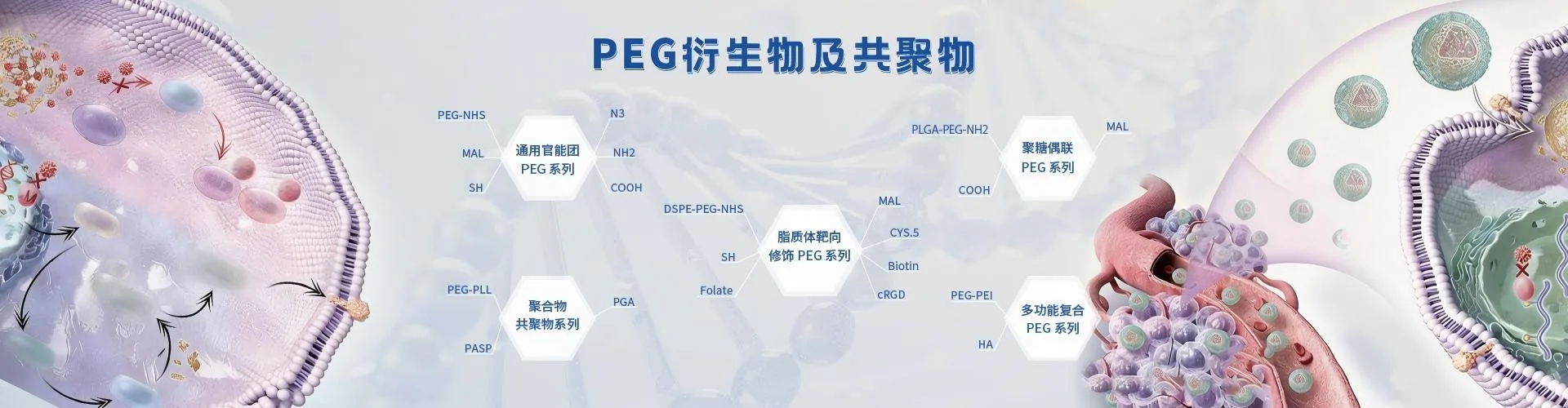 PEG衍生物及共聚物定制