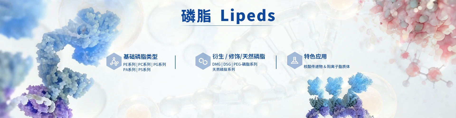磷脂（Lipids）定制
